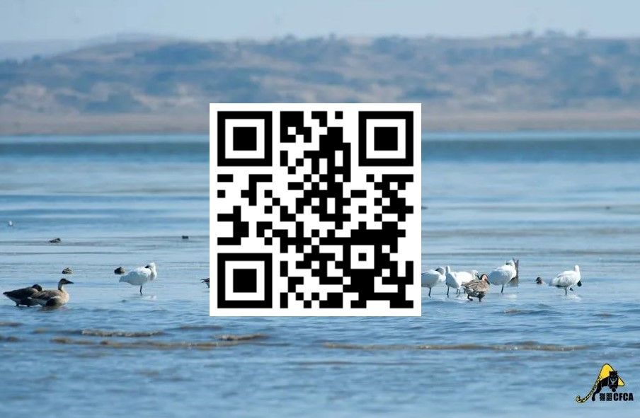 鸡鸡鸡鸡，野生的不能吃吗？是的