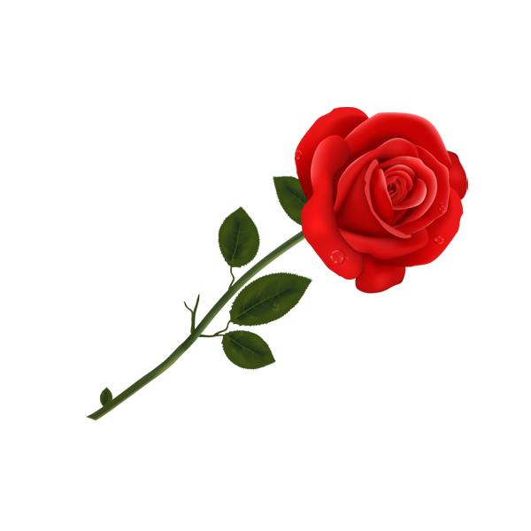 丝芙兰八折护肤品,丝芙兰彩妆组合折扣