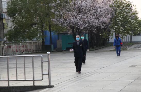 湖北省疫情观察,武汉疫情探访