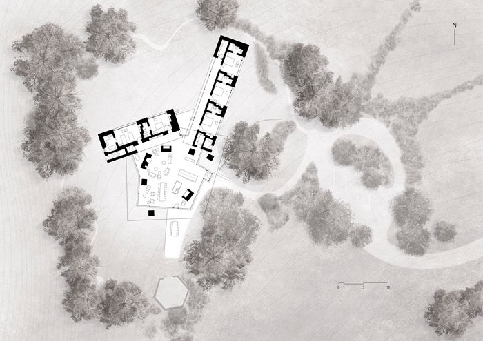 一起来植树的视频,今天适合植树吗