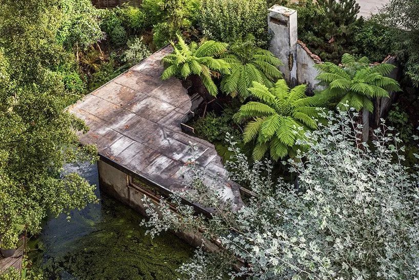 一年一度的植树,现在正在植树的视频
