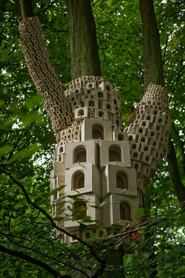 一年一度的植树,现在正在植树的视频