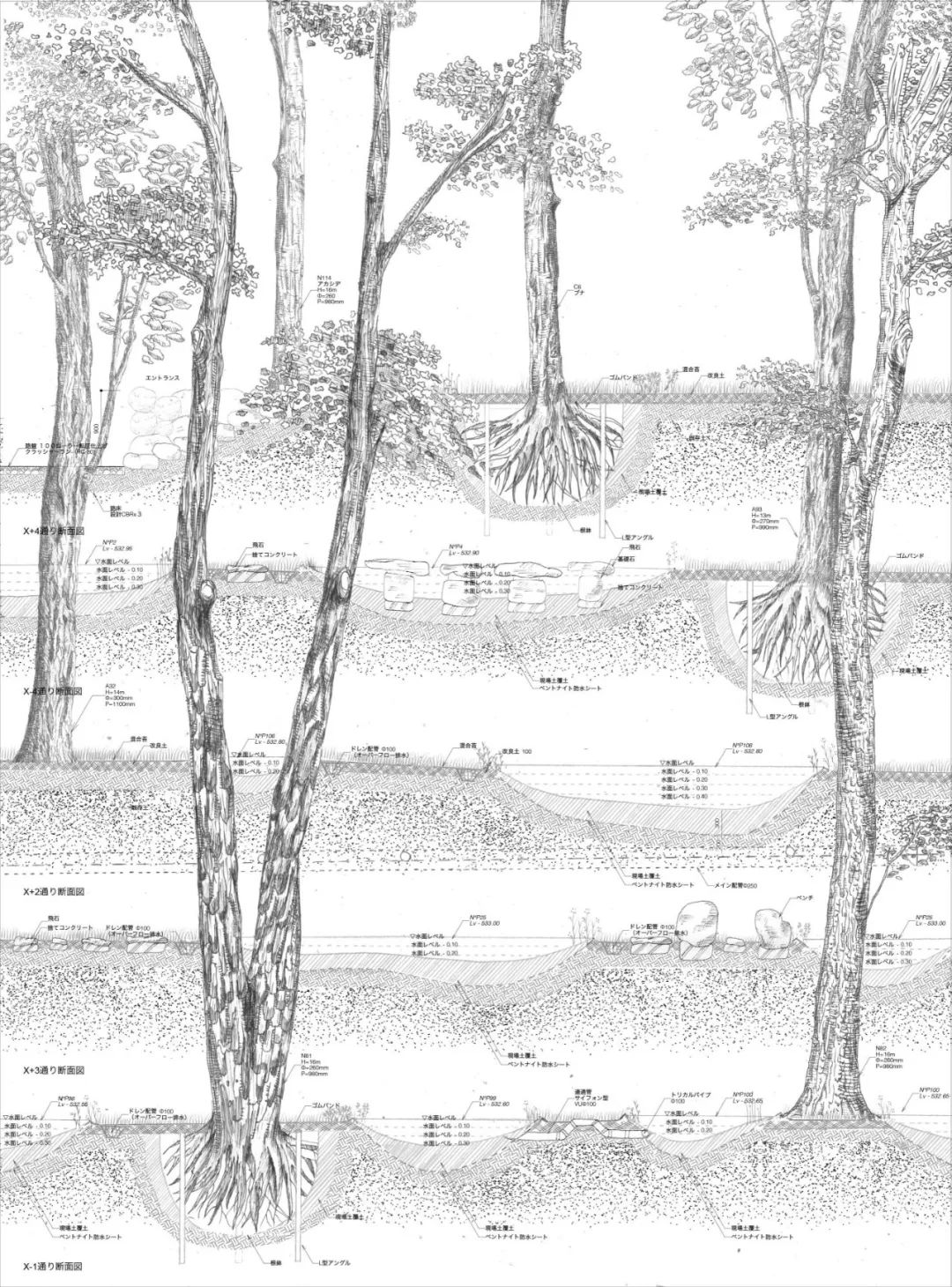 一起来植树的视频,今天适合植树吗