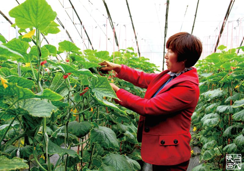 疫情防控他们是美好生活的守护者,疫情突袭他们是最美逆行者