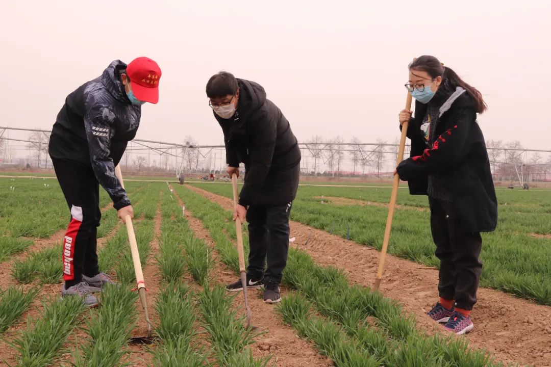 鏄ユ殩鑺卞紑蹇欓噷鍋烽棽,鏄ユ殩鑺卞紑蹇欎腑鍋烽棽