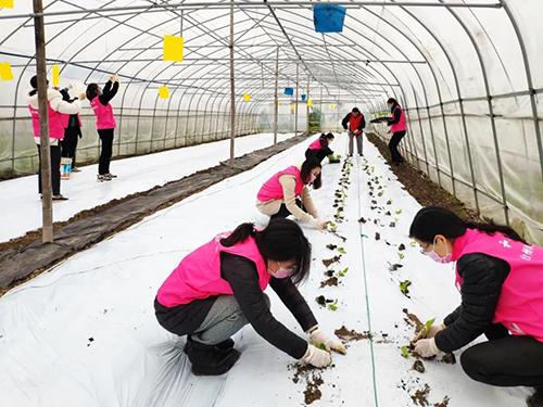 又是一年春来早家乡景色,又是一年春来早万物逢春在今朝