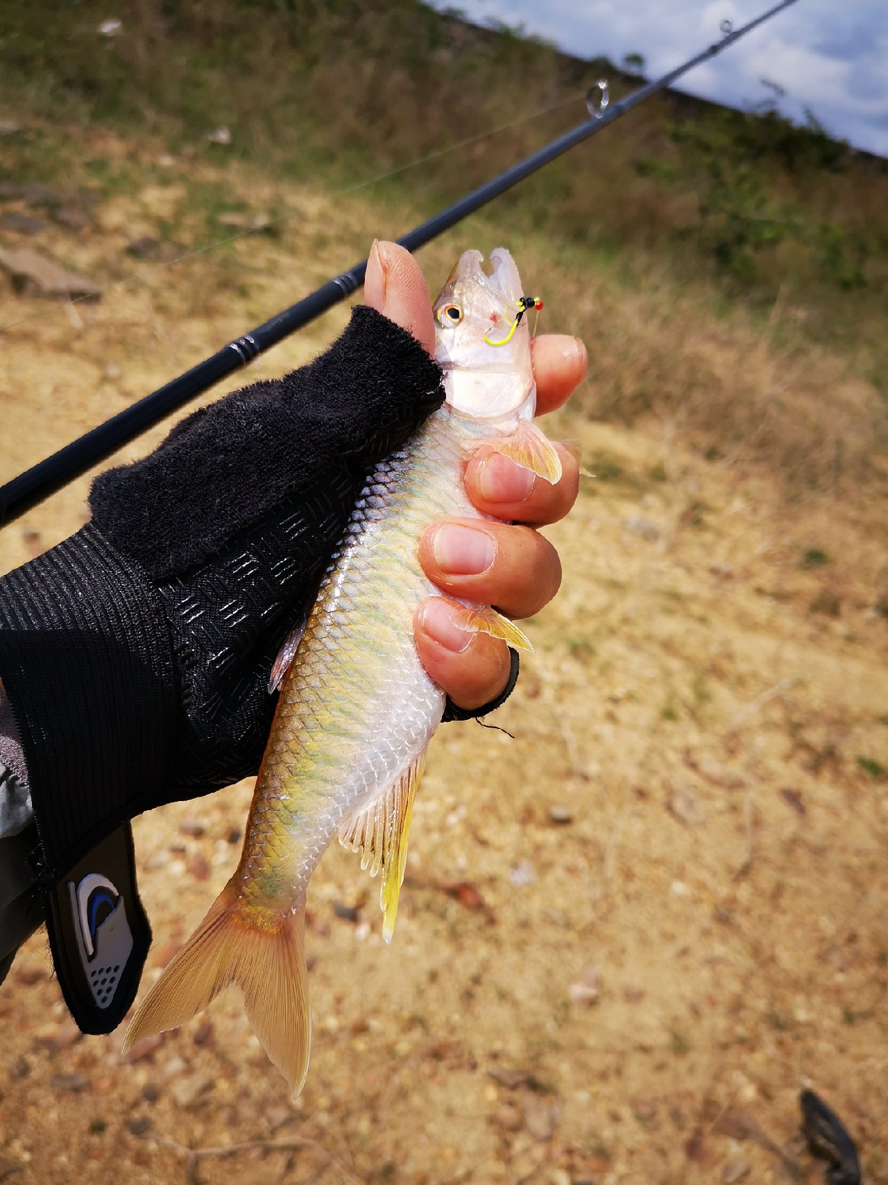 路亚一步到位还是循序渐进好,摸索反思