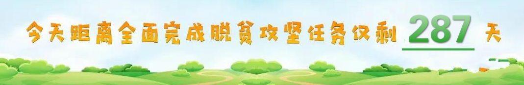 转扩||平凉-乌鲁木齐可预约出行啦…