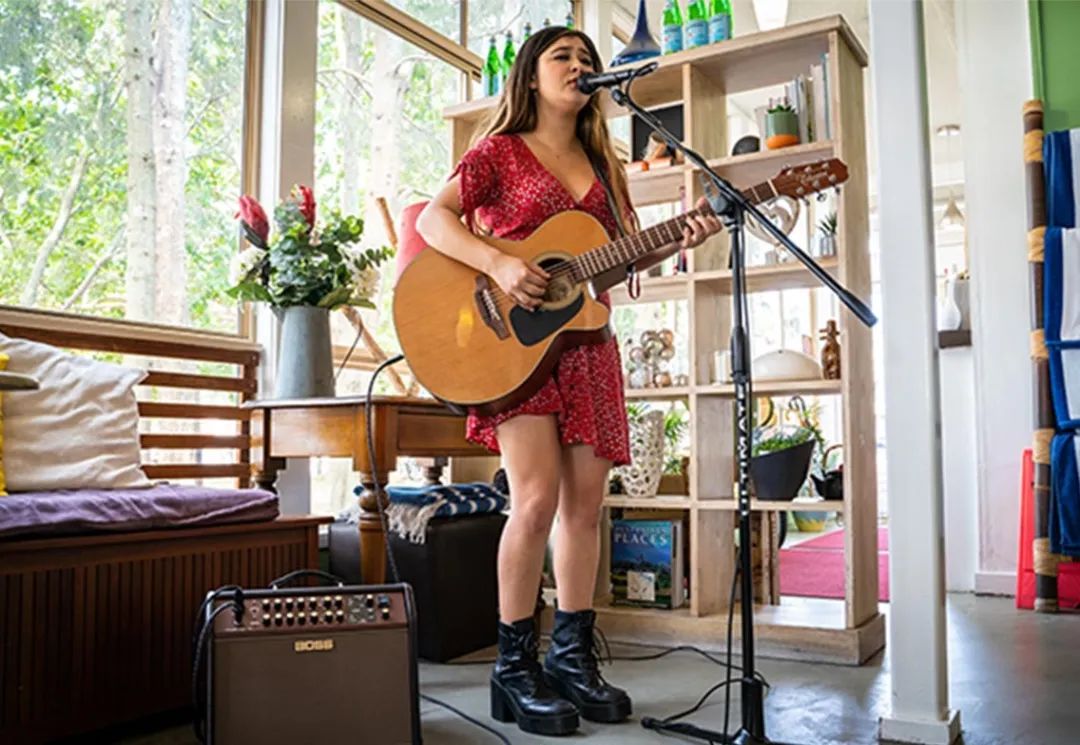 电箱吉他JBL音箱推荐,吉他音箱boss