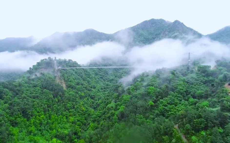 佛山景点啥时开放,佛山景区最新消息