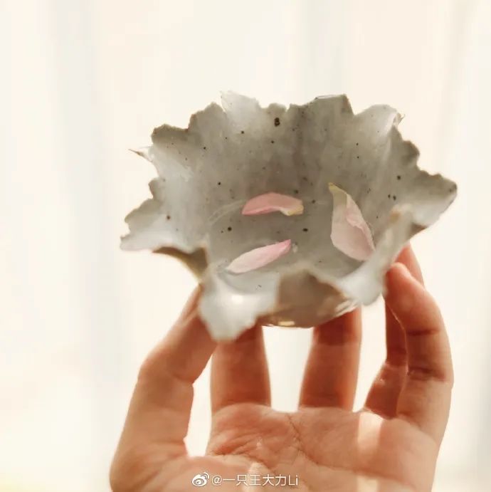 每一件都想拥有！美食博主原来是这样买餐具的