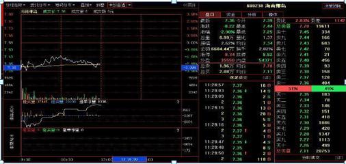 巴菲特点破中国股市庄家,巴菲特点破a股回落