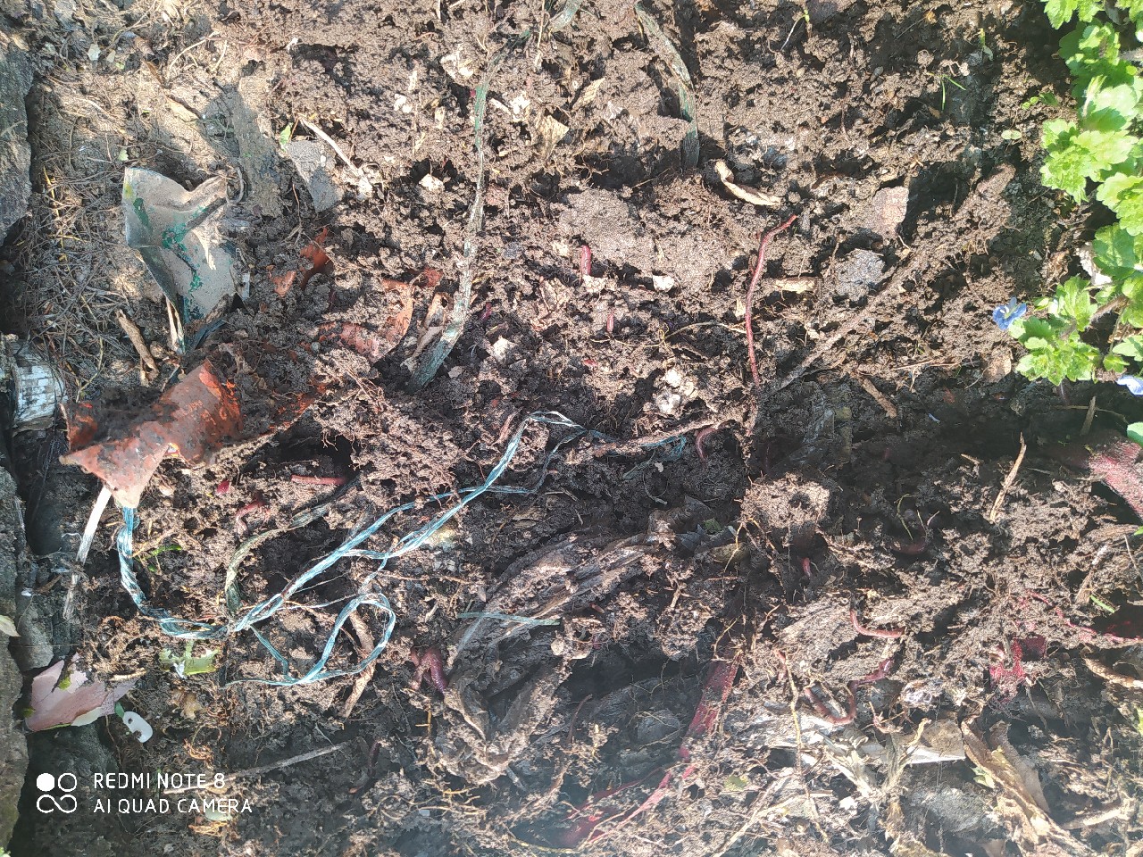 由鱼道联想到蚯蚓道，教你又快又准找蚯蚓