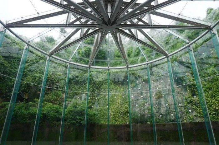 油便宜了反而费油,油便宜了却不耐烧了