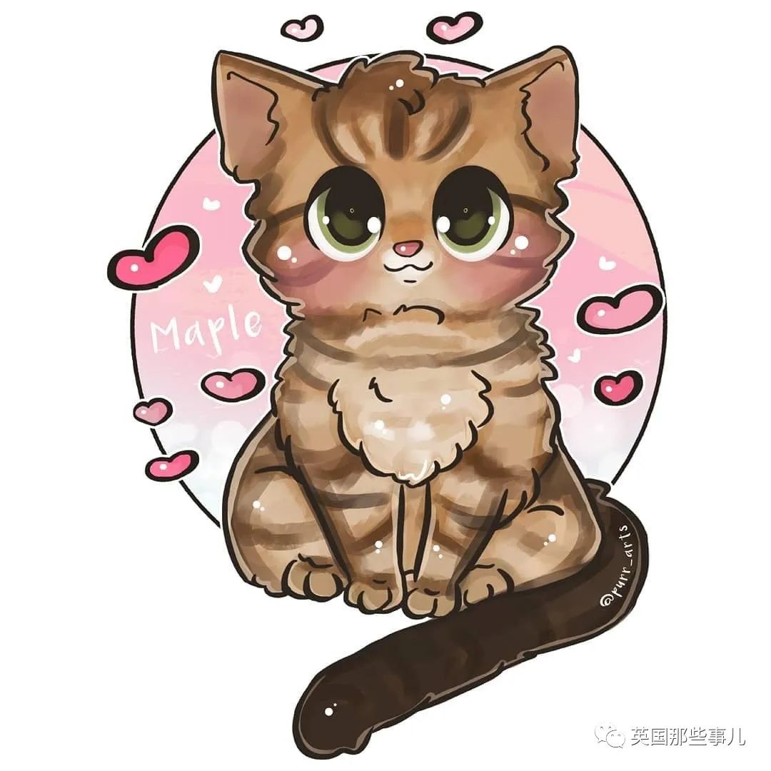 高颜值会笑的橘猫,又可爱又萌萌哒的小橘猫