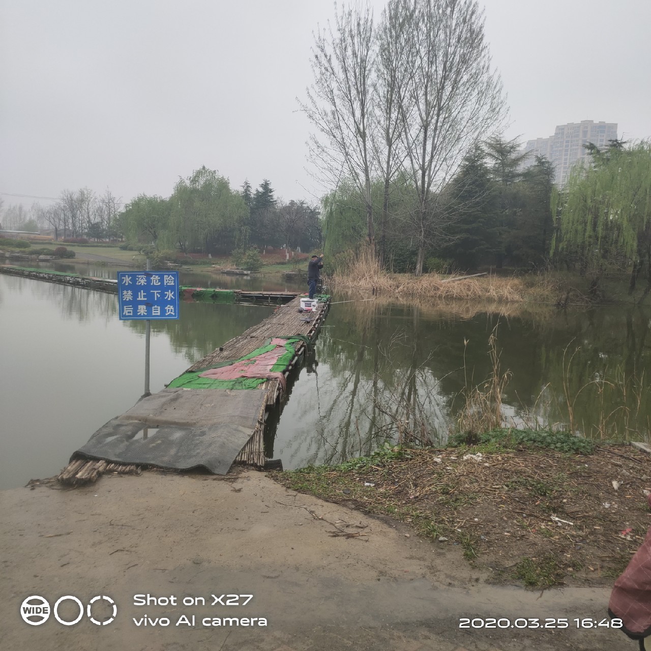 夜钓1号爆护位，人家鲤鱼爆护，我鲤毛未见