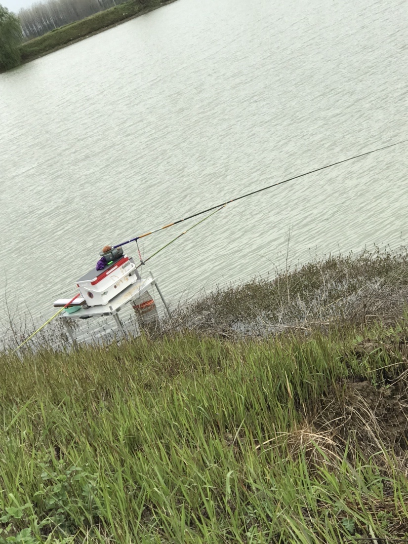 春天河边钓鱼技巧视频,春天水库钓鱼技巧
