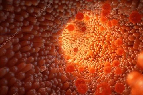 治疗期间不吃饭打营养针,专治吃不下饭的特效药