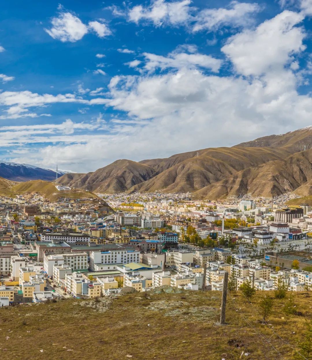 可可西里爱而不得,不要盲目向往可可西里