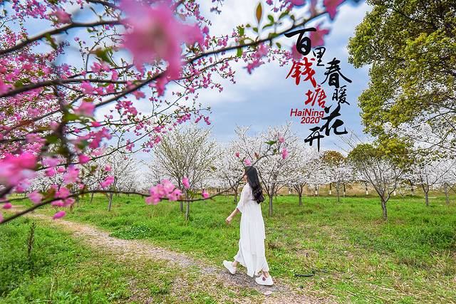 海洪宁静,海洪宁静海涛宁谧什么意思