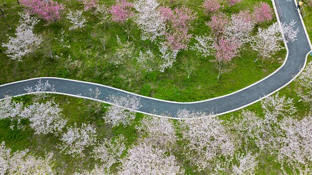 海洪宁静,海洪宁静海涛宁谧什么意思
