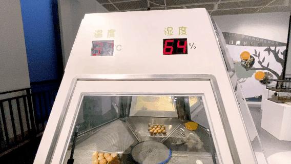 海信科学探索中心198团购,海信科学探索中心便宜门票