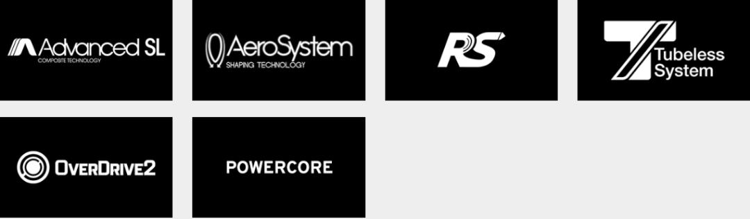 10款捷安特公路车,10款捷安特