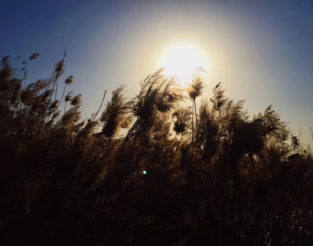 仙境意境空灵飘渺山水画,鲁山最美的山水画