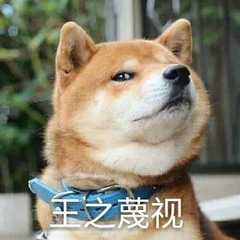 保姆、交际花……没有什么是朕做不到的——《遵命，陛下》