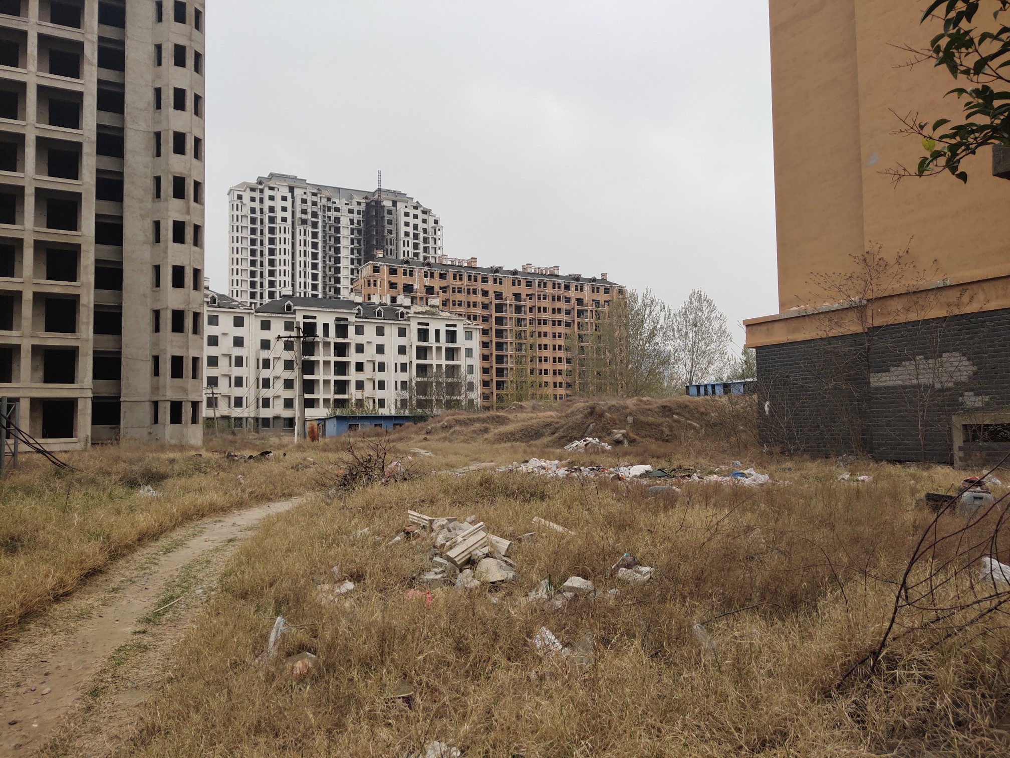 大河调查金御华庭进展,开封金御华庭现状