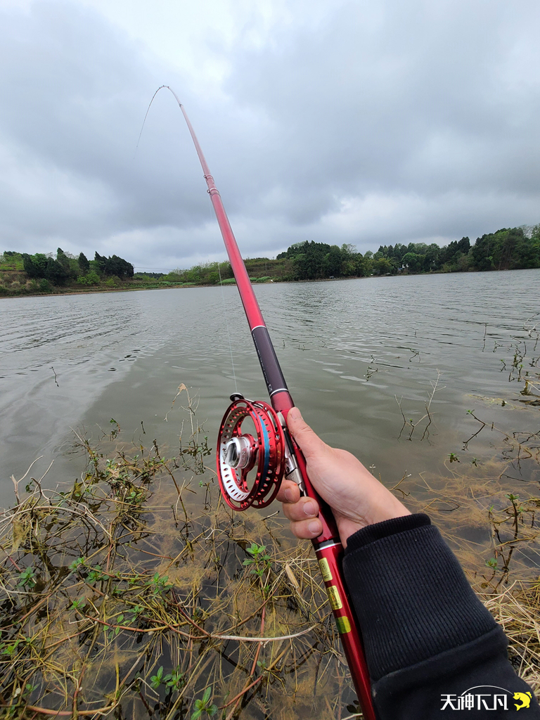 凤凰涅盘浴火重生对火的崇拜,凤凰涅盘浴火重生需要的是勇气