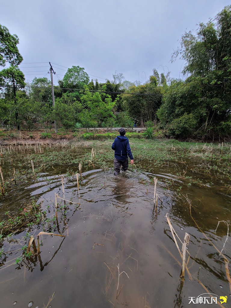 凤凰涅盘浴火重生对火的崇拜,凤凰涅盘浴火重生需要的是勇气