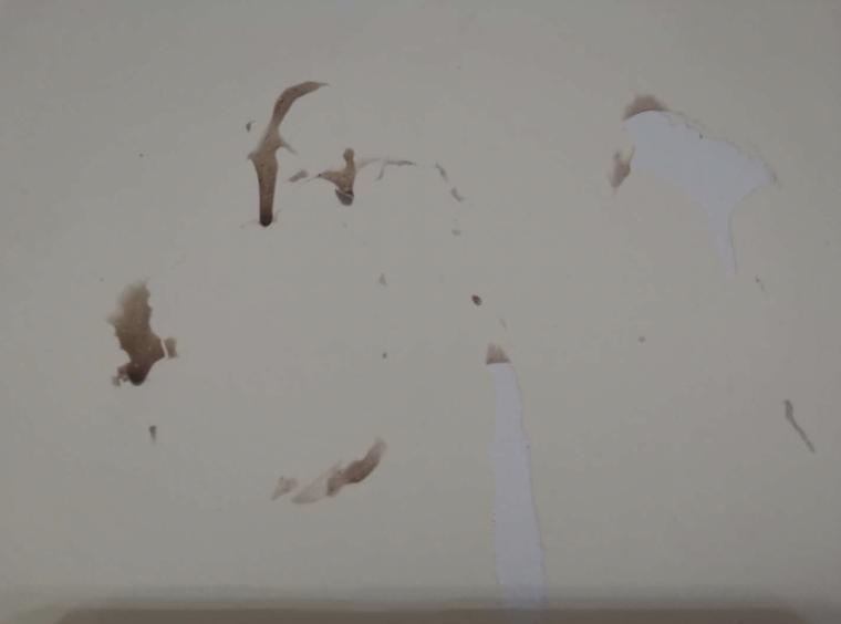 鍧戜汉鐜╁叿鎺ㄨ崘,涔扮帺鍏峰墠涔扮帺鍏峰悗