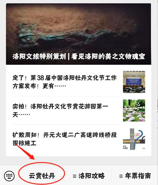 花都开好了来赏花,洛阳去哪里赏牡丹花