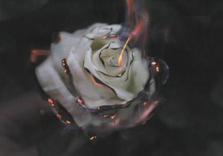 惨遭群体*力暴**的“贞洁”*女妓**,用善良与牺牲反照人性薄凉