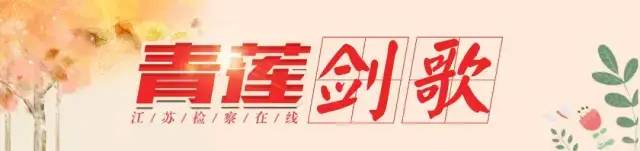 中南往事的故事,中南往事2019