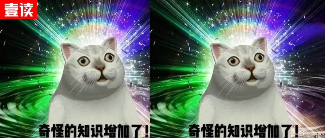 鲍毓明为什么和养女谈恋爱,谁给了爱的勇气