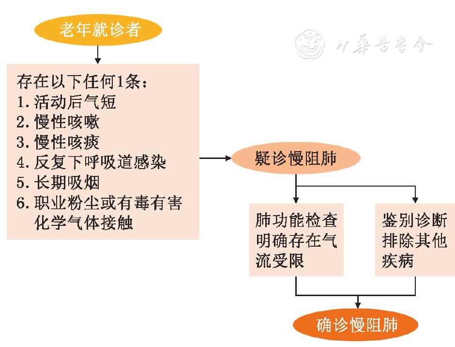 慢性阻塞性肺疾病诊治指南2021,老年慢性阻塞性肺疾病处方