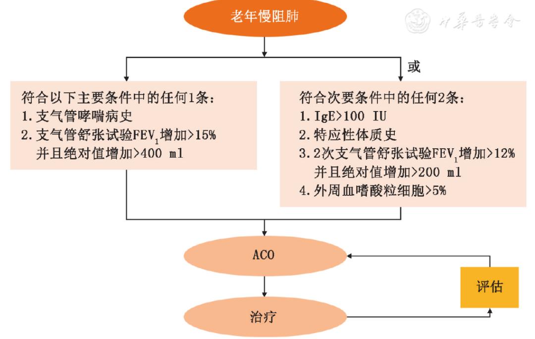 慢性阻塞性肺疾病诊治指南2021,老年慢性阻塞性肺疾病处方