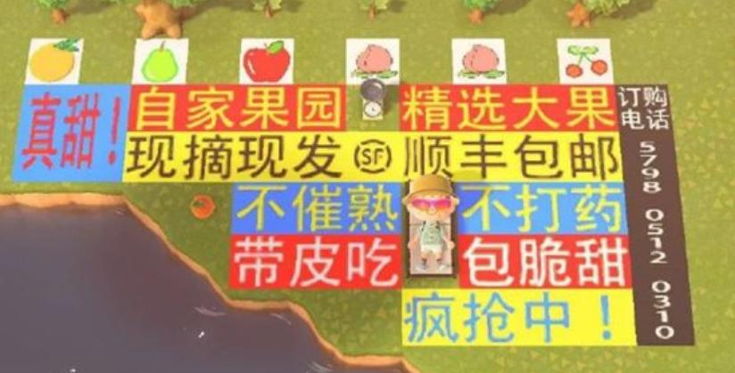 动森最赚钱的东西,动森发家致富