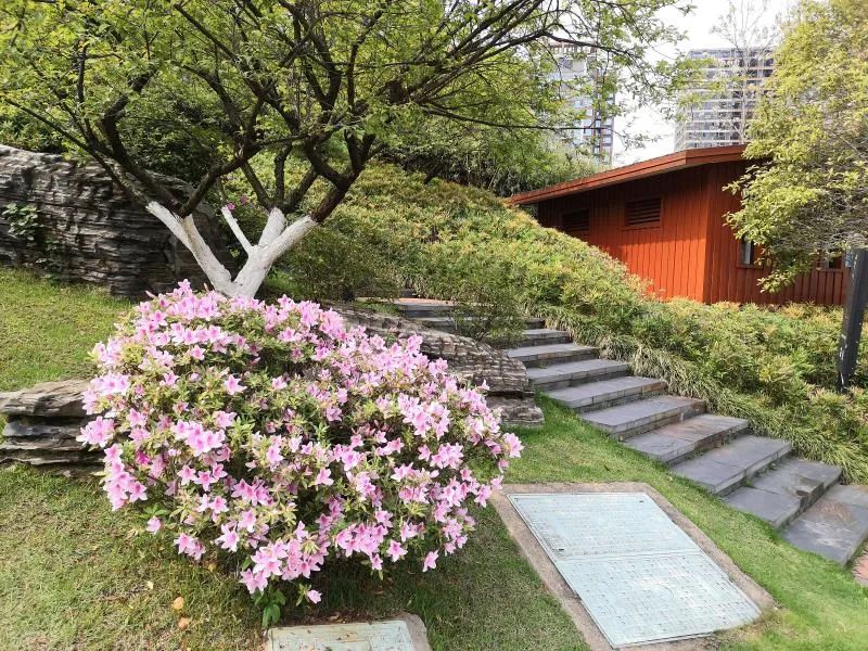 长沙周边踏春游玩最好去处,五一来长沙这些地方让你玩个够