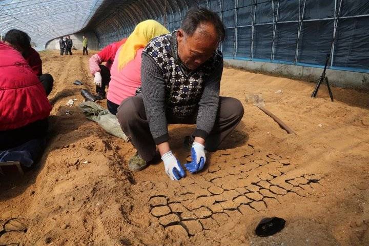 初村镇：青山绿野中，乡村产业书写美丽画卷