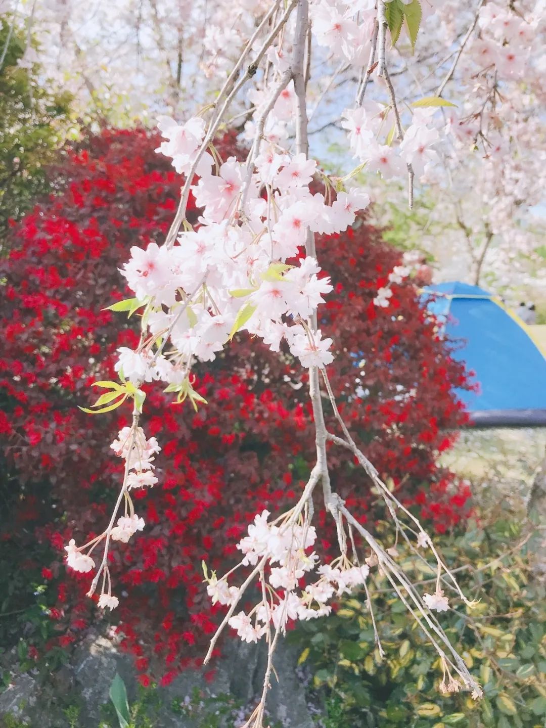 秋冬最水润的粉底液,粉底液推荐秋冬奶油肌