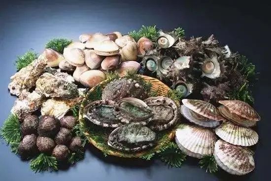 每次吃生蚝上吐下泻是什么原因,吃了生蚝上吐下泻是怎么回事