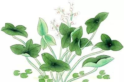 更年期调理手法视频,更年期妙方视频