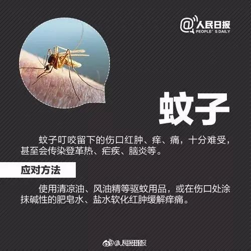 夏季粮食防虫小妙招,夏季防虫小妙招