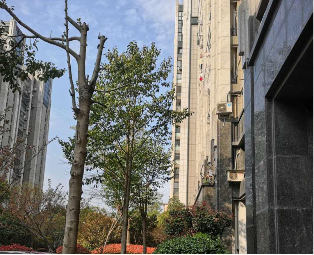 城市景观片区设计案例图,如何做出优秀的居住区景观设计