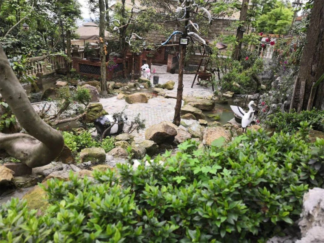 都江堰百花村的民宿,都江堰百花村农房出租