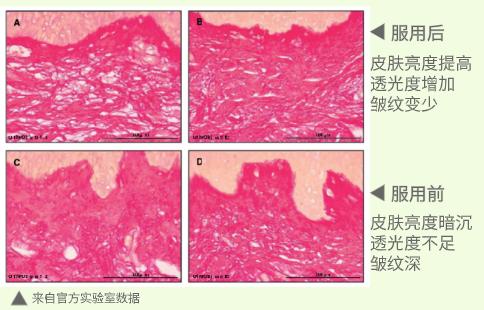 各类肌肤的实用美白技巧,美白牛奶肌的秘密在这里