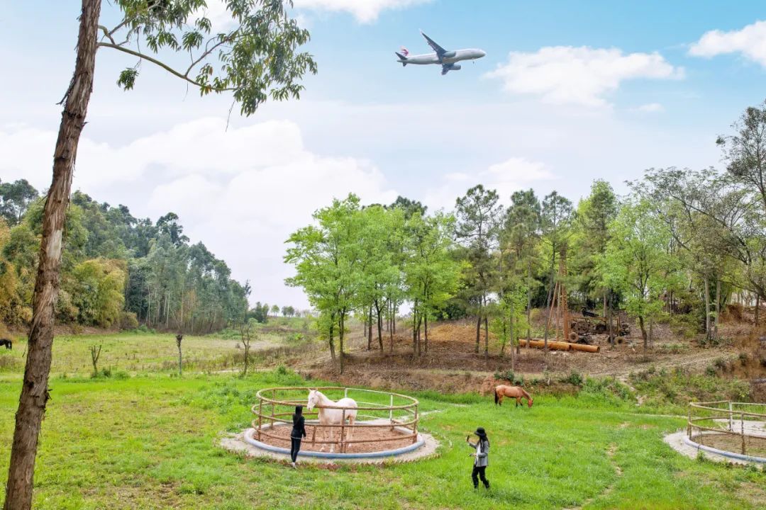成都彭镇老茶馆,成都彭镇老茶馆打卡地点